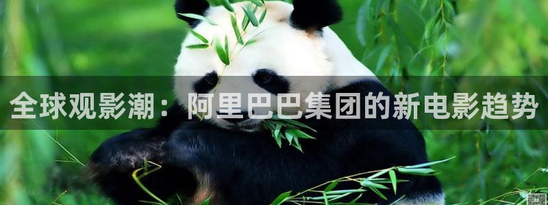 97人人做人人爱网站视频