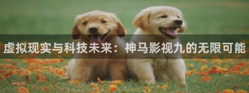 97人人公开视频