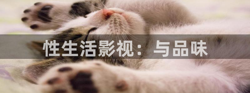 人人在线视频观看