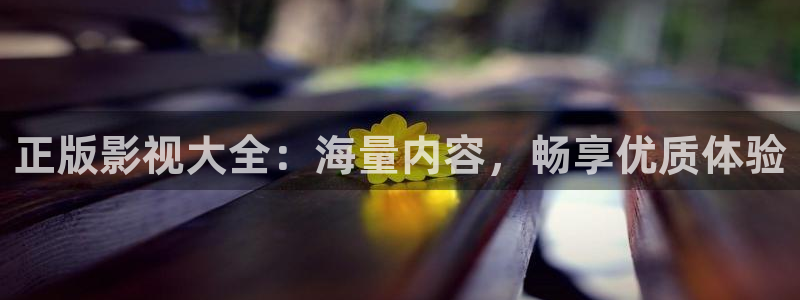 人人在线观看视频